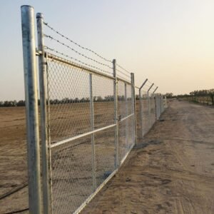 WhatsApp Image 2026-01-29 at 9.50.10 PM (1)