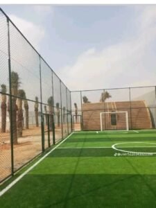 WhatsApp Image 2026-01-29 at 9.50.14 PM