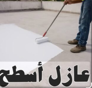 WhatsApp Image 2026-01-29 at 9.56.08 PM (1)