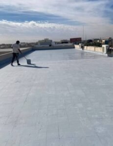 WhatsApp Image 2026-01-29 at 9.56.33 PM