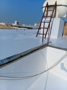 WhatsApp Image 2026-01-29 at 9.56.48 PM