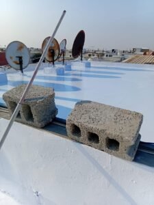 WhatsApp Image 2026-01-29 at 9.56.55 PM